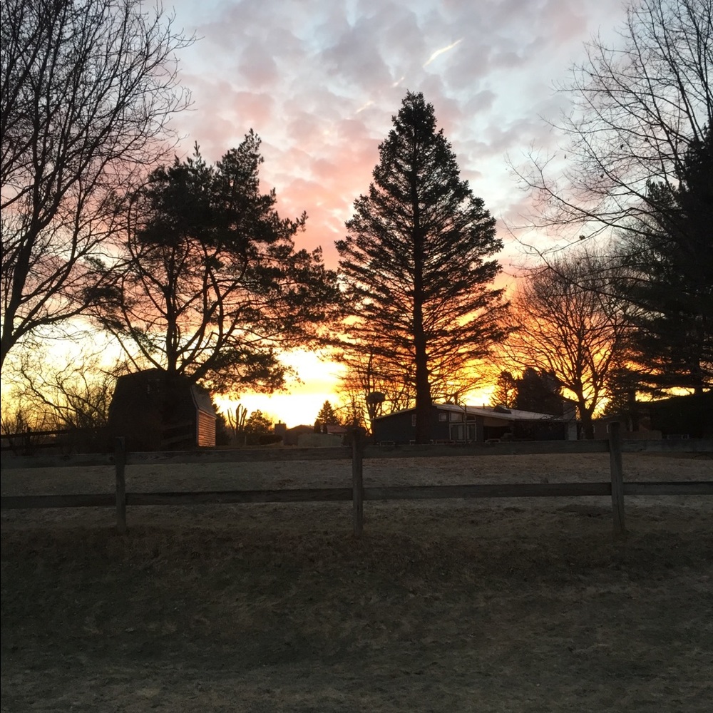 Meet your Posher, Gretchen